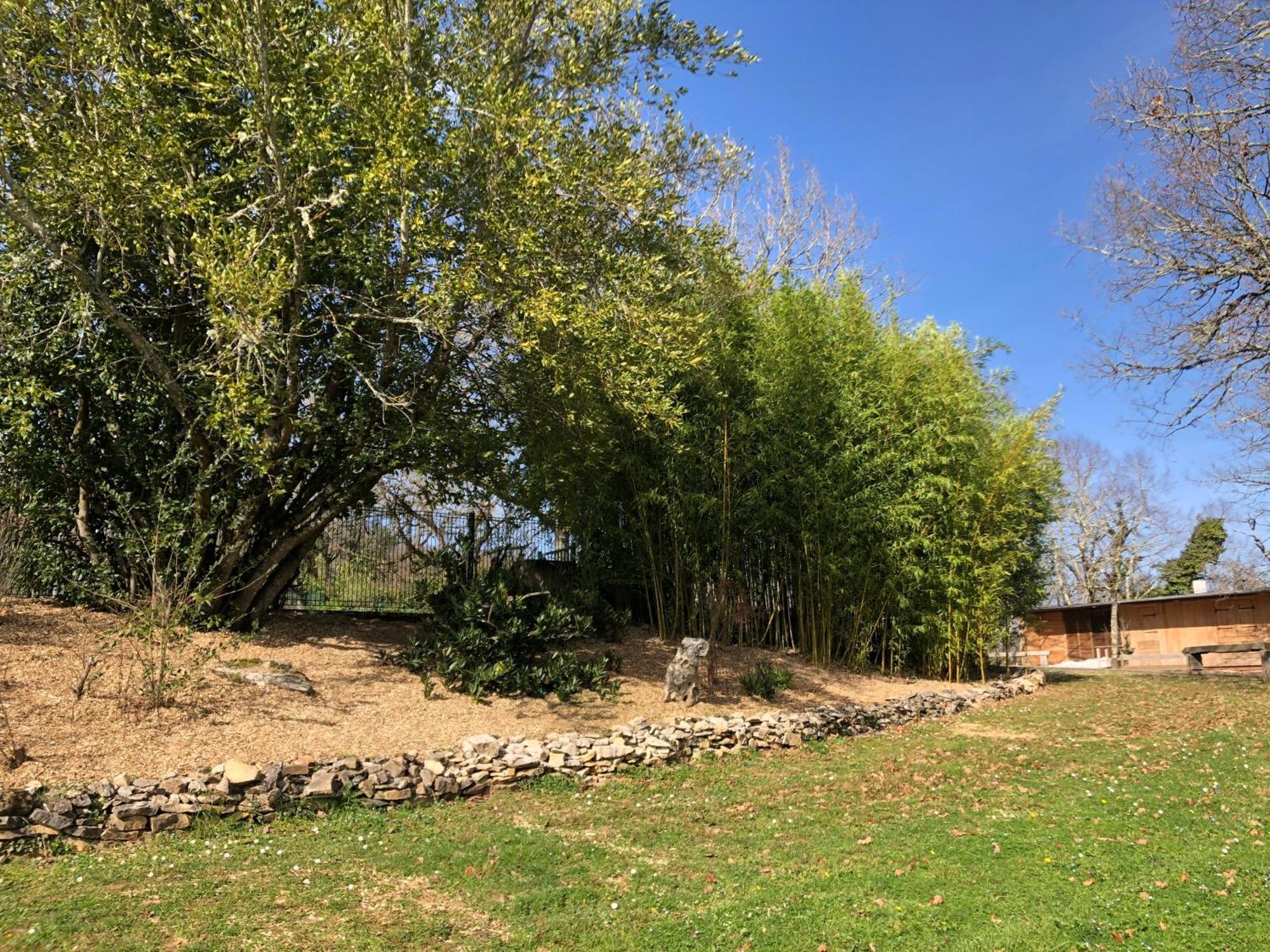 Chateau De Termes Martel Eksteriør billede