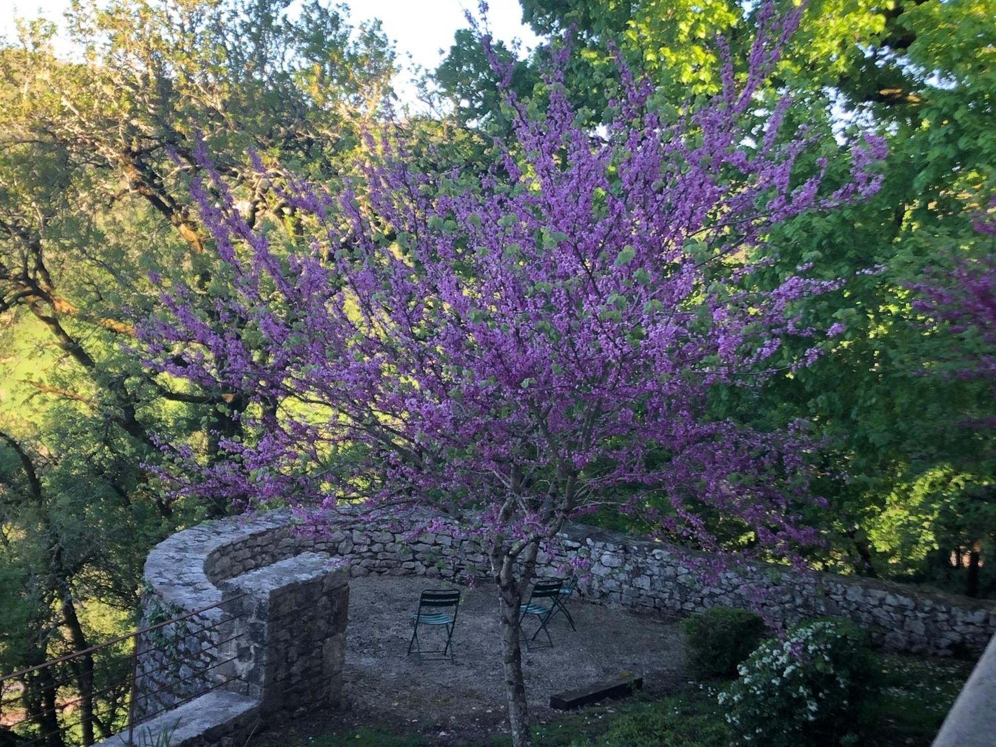 Chateau De Termes Martel Eksteriør billede
